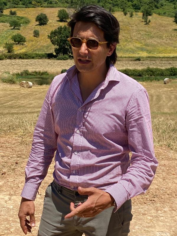 Limito, il grande vigneto con labirinto di Carpineti