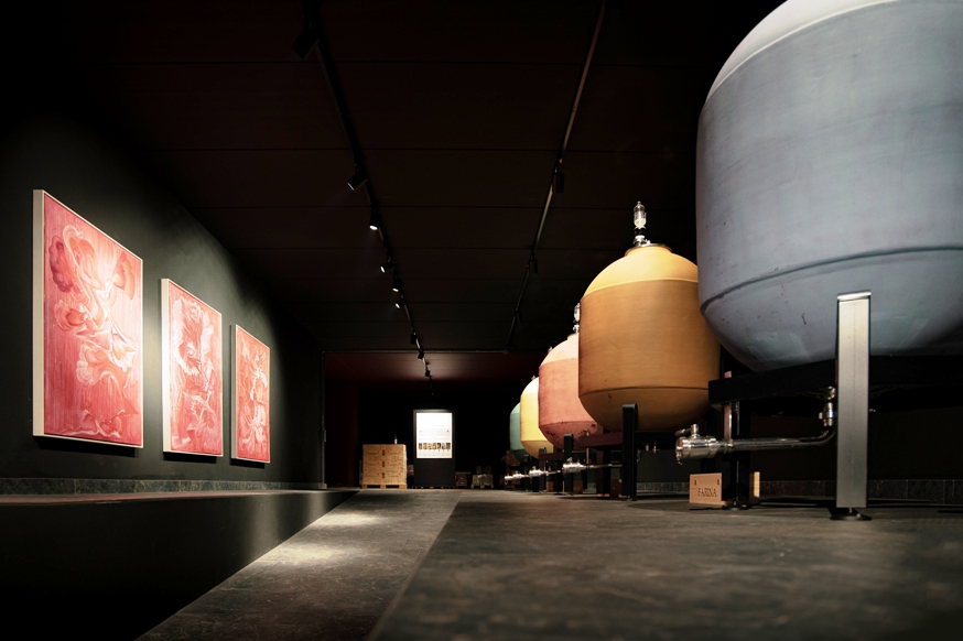 La grande attenzione alla sostenibilit&agrave; di una storica cantina della Valpolicella