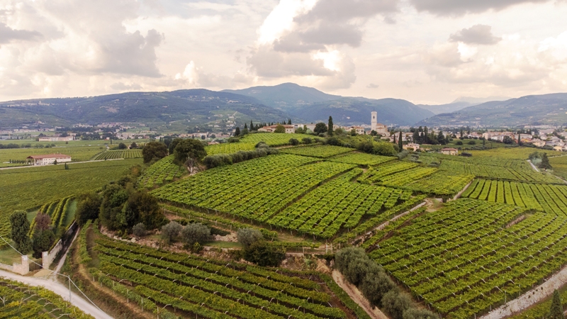 La grande attenzione alla sostenibilit&agrave; di una storica cantina della Valpolicella