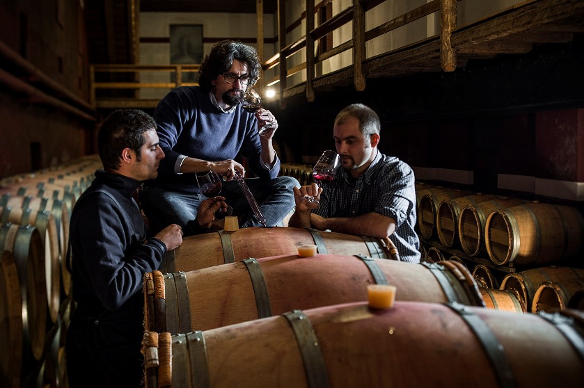 Vistorta, un bianco importante a fianco del grande Merlot