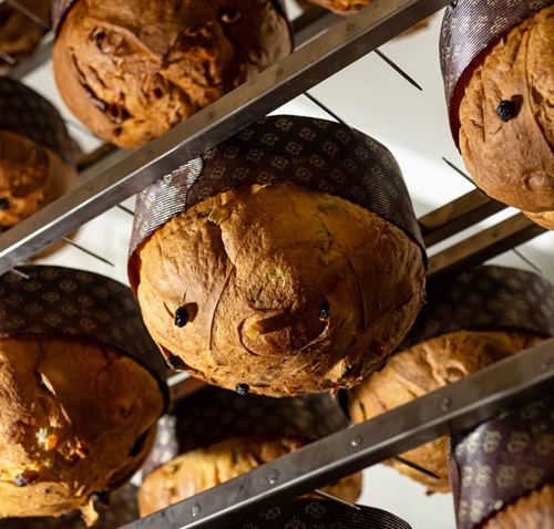 Natale 2024! Nove panettoni, tra dolci e salati, da non perdere