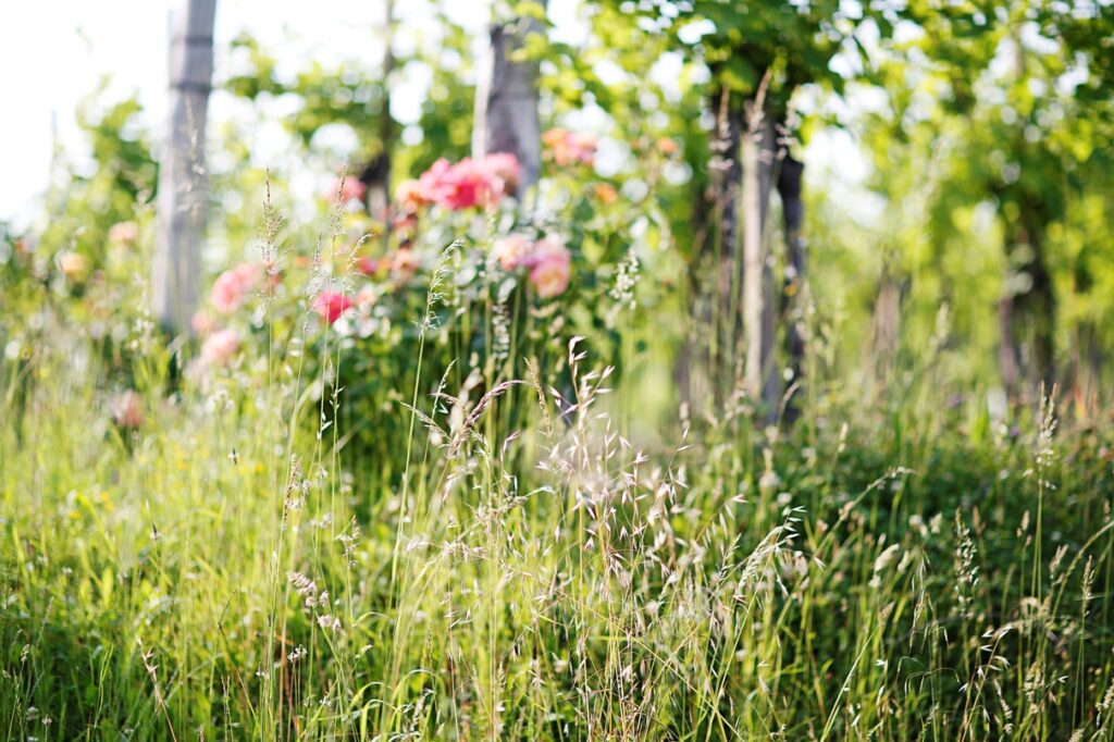 Annalisa Zorzettig, una donna, un&rsquo;azienda, una visione