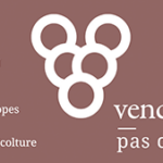 Blanc de Blancs Pas Dos&eacute;