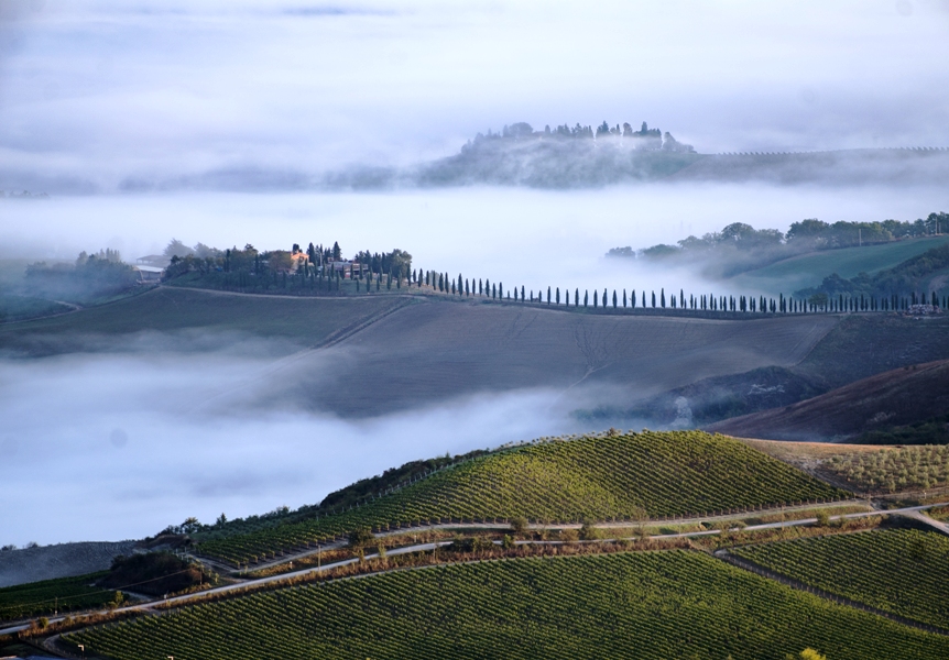 Il Brunello di Montalcino 2020 va sul mercato