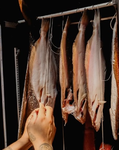 In Brasile spopola una tecnologia tutta italiana per la maturazione delle proteine