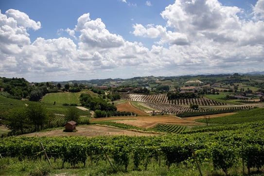 Lascia il calcio e apre un relais nel Monferrato