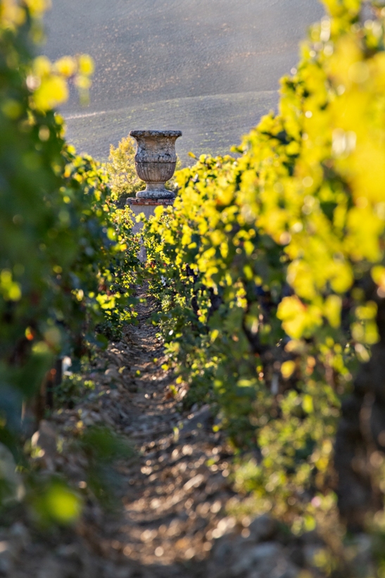 Tenuta di Trinoro 2021, il primo di Benjamin Franchetti