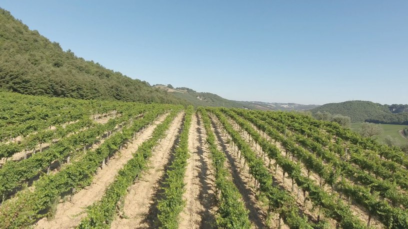 Argillae. Nel nome l&rsquo;eredit&agrave; e il futuro