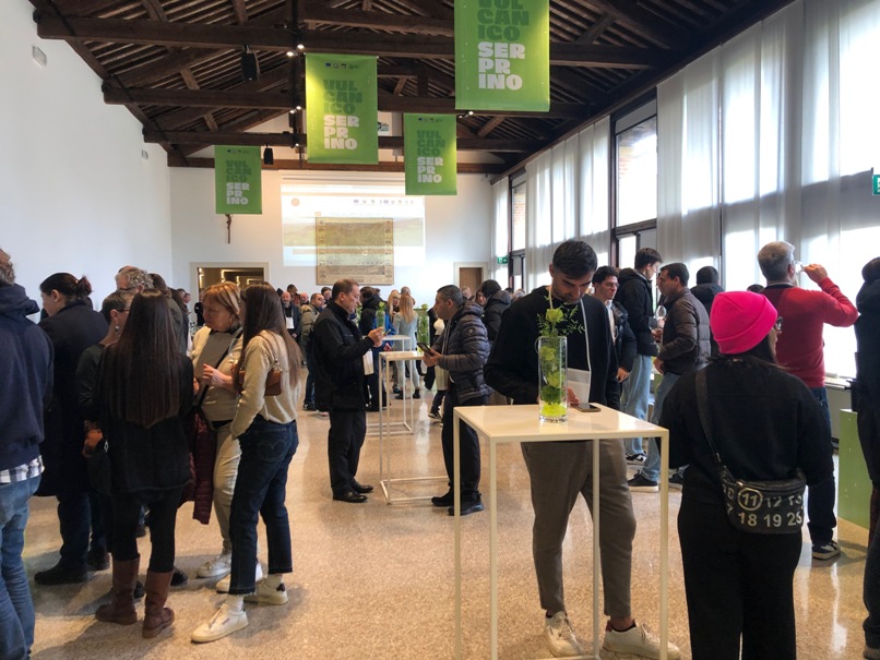 Serprino, il tesoro vivace dei Colli Euganei