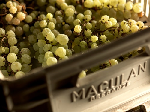 Il vino dolce di Maculan incontra la cucina d&rsquo;autore