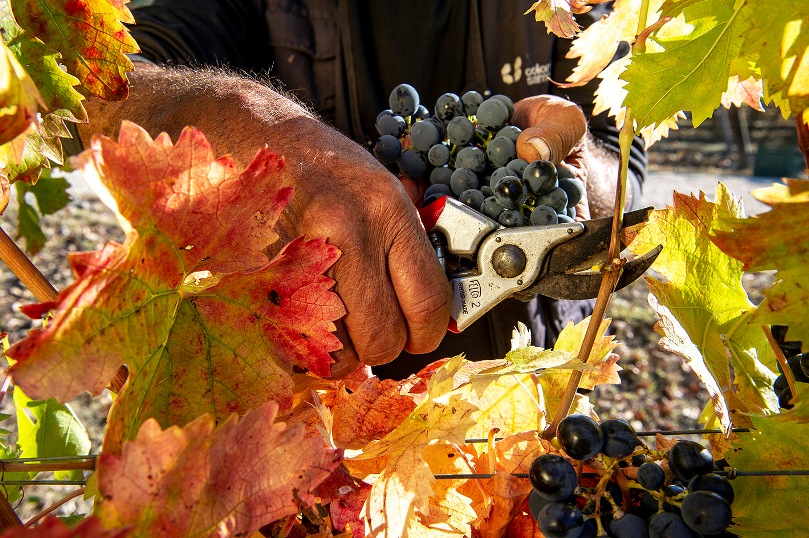 Colline Teramane, ad Atri il focus annuale