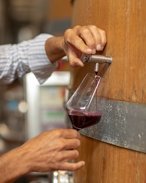 P#327, il nuovo Brunello di Campogiovanni