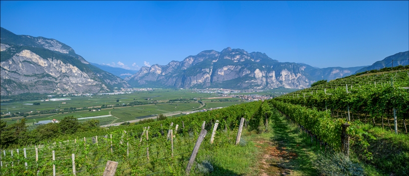 La-Vis, l&rsquo;arte nel vino. Tornano i Ritratti
