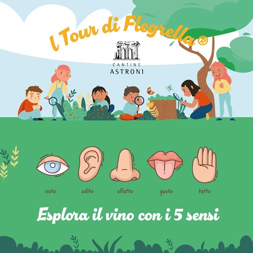 Enoturismo esperienziale a 360 gradi nei Campi Flegrei