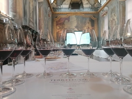 Terre toscane da scoprire a Vinitaly 2025