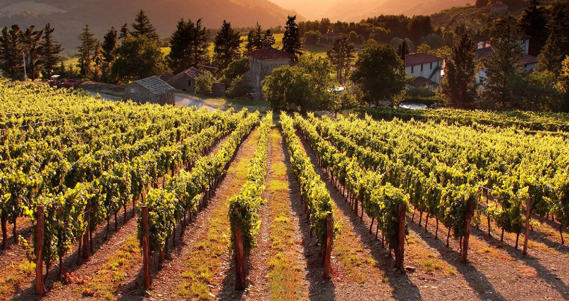 Il Benefizio di Frescobaldi compie 50 anni