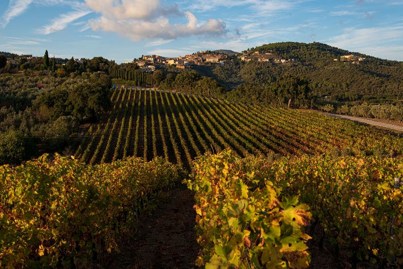 Terre toscane da scoprire a Vinitaly 2025