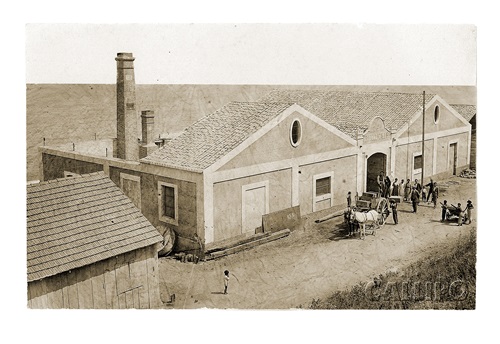 Callipo Conserve Alimentari. Storia di pesca e amore per il territorio