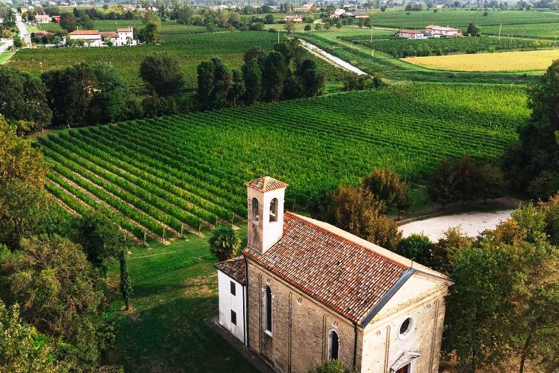 Il Lison Pramaggiore di Borgo Stajnbech