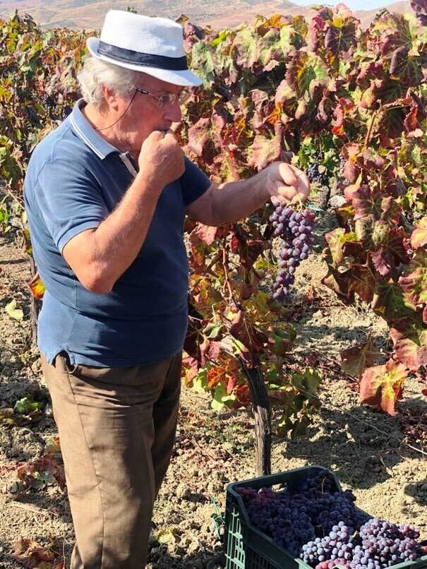 Vigneti Ferraro, il richiamo della terra