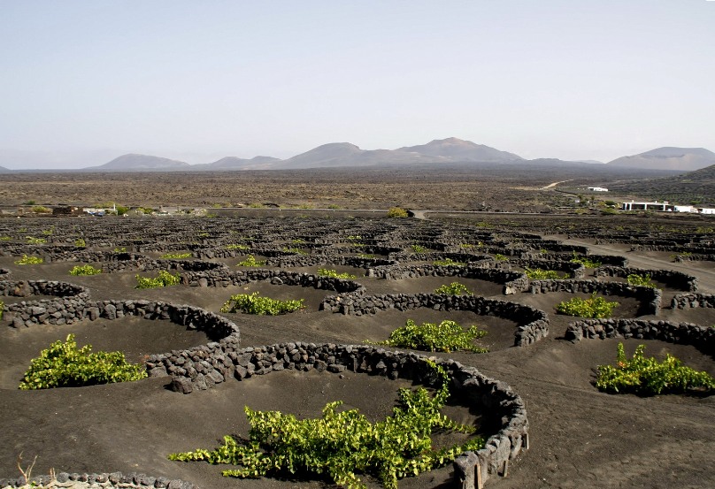 Il 33esimo Mondial des Vins Extr&ecirc;mes a settembre in Valle d&rsquo;Aosta