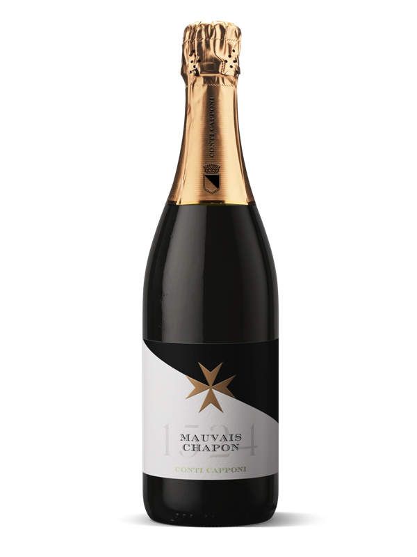 Conti Capponi e la collezione 1524