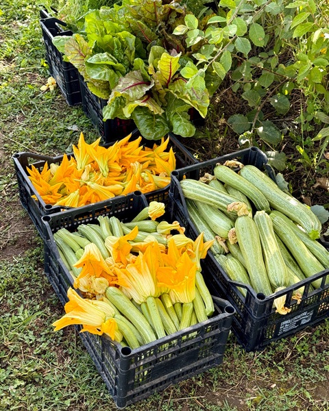 Viaggio in Irpinia nel Borgo San Gregorio