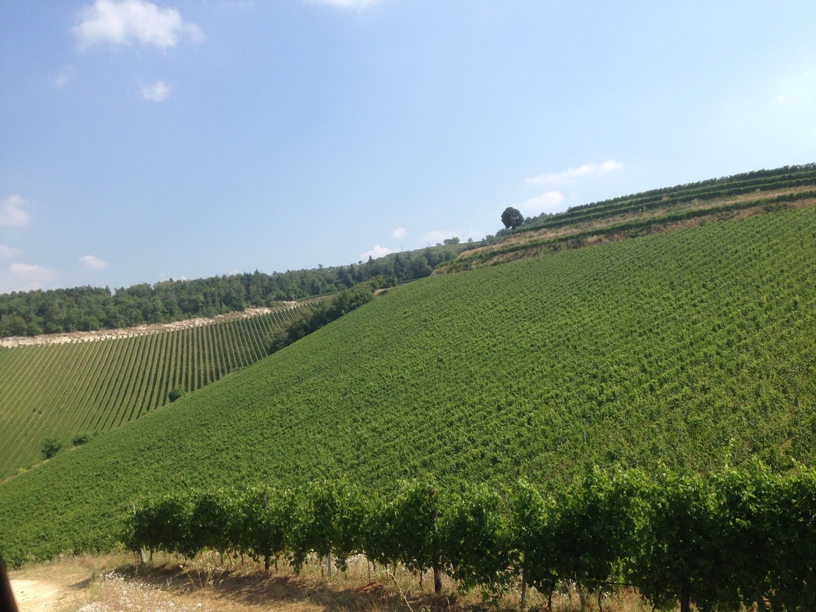 GARY, il bianco veneto di Tedeschi
