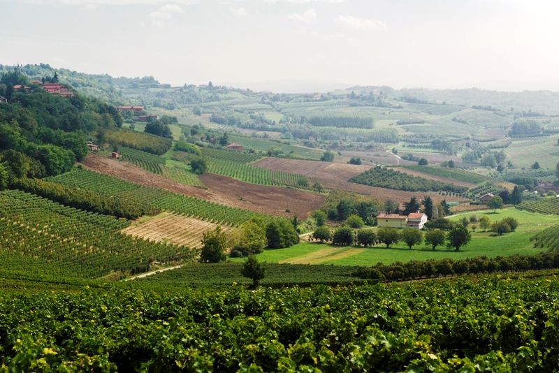 Sant&rsquo;Anna dei Bricchetti e la sua produzione da barbera e moscato