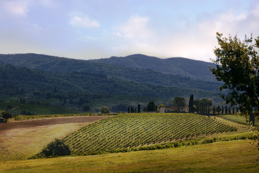 Conti Capponi e la collezione 1524