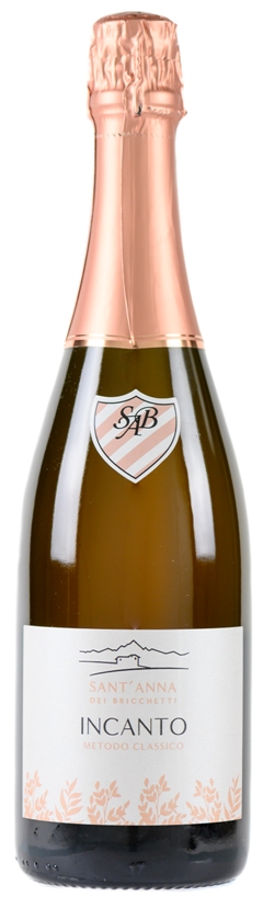 Sant&rsquo;Anna dei Bricchetti e la sua produzione da barbera e moscato