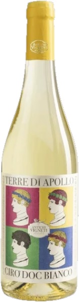 Antichi Vigneti Sculco, il nuovo della tradizione