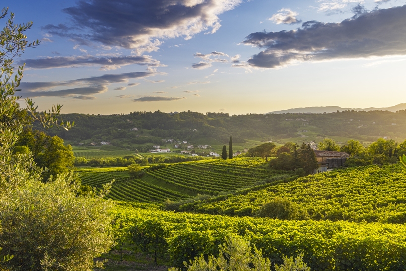 La cantina Le Manzane apre le porte al turismo esperienziale
