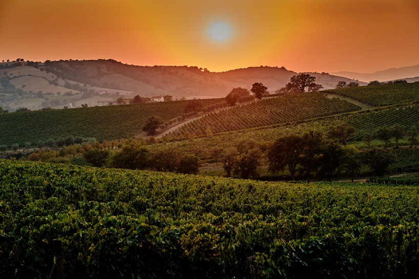 Rosso Morellino vista mare, due giorni di vino, mare e pedalate