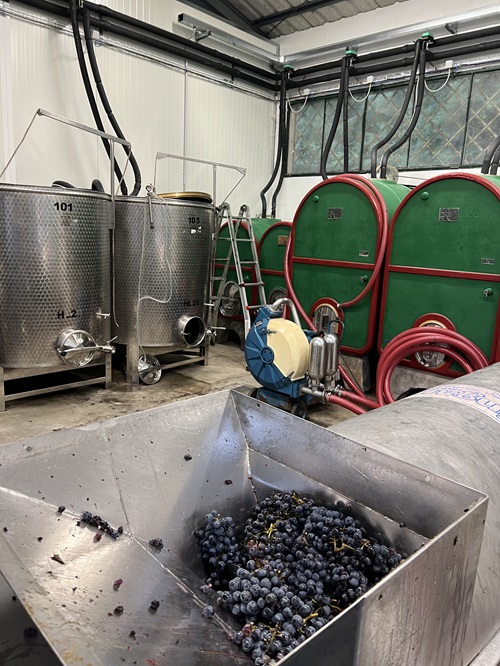 Rontana: 25 anni di passione e innovazione di Ricci Curbastro