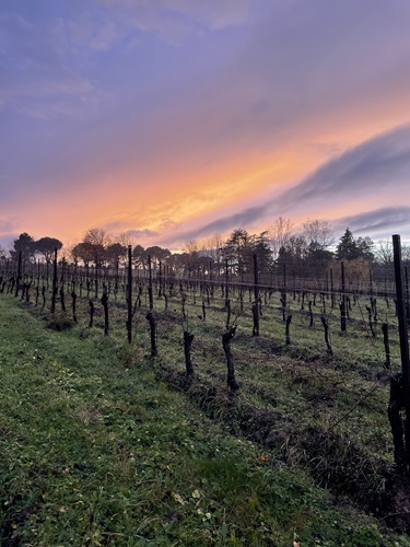 Rontana: 25 anni di passione e innovazione di Ricci Curbastro