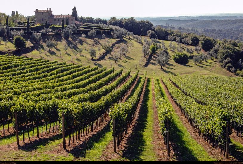 Tenuta di Arceno, viaggio nei calici dei cru Valadorna e Arcanum