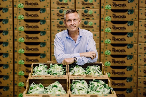 Cavolfiore di montagna. Eccellenza di fine estate della Val Venosta