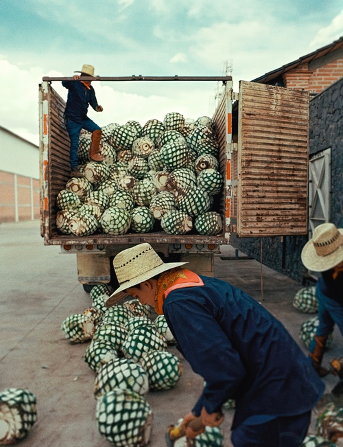 Un campione della Formula1 porta in Italia la tequila analcolica