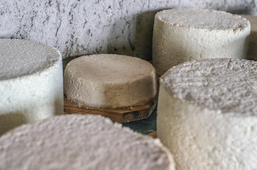 Dal 6 al 14 settembre in Valle Aurina si festeggia il Grauk&auml;se!