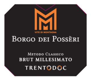 Etichetta del vino Trento Brut 2021