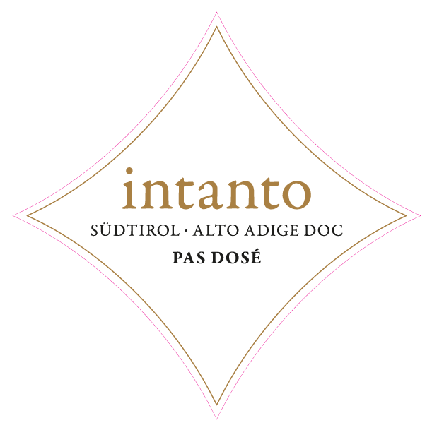 Etichetta del vino Alto Adige Intanto Pas Dosé 2020