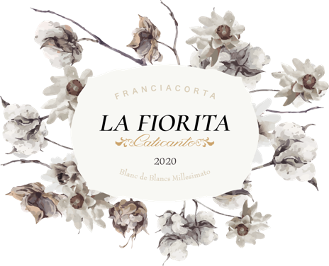 Etichetta del vino Franciacorta Calicanto Pas Dosé 2020