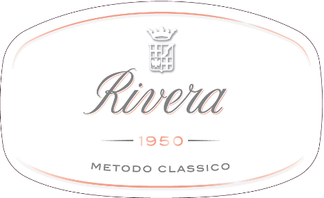 Etichetta del vino Bombino Nero 24 Mesi Rosé Brtu
