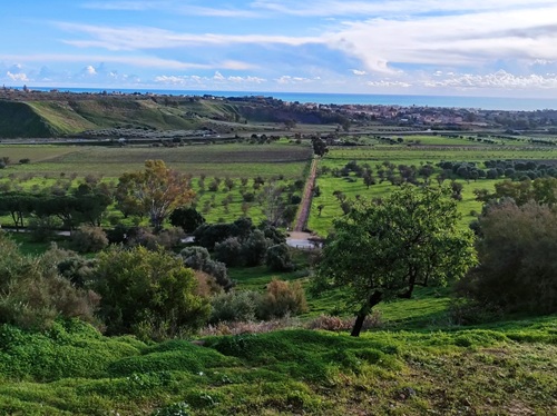 Dalla Valle dei Templi per degustare e scoprire la biodiversit&agrave; della Sicilia