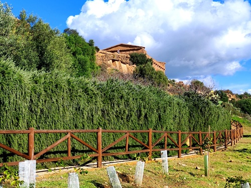 Dalla Valle dei Templi per degustare e scoprire la biodiversit&agrave; della Sicilia