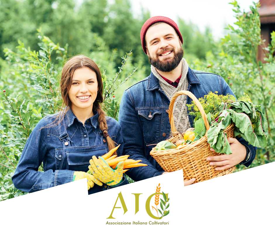 Allarme spreco. Ogni ora buttiamo 3 grammi di cibo