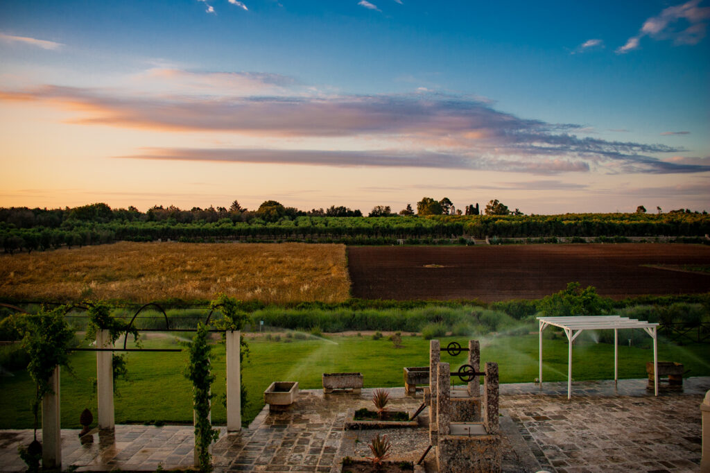 N&B Natural is Better: il modello salentino che rigenera terra e comunit&agrave;