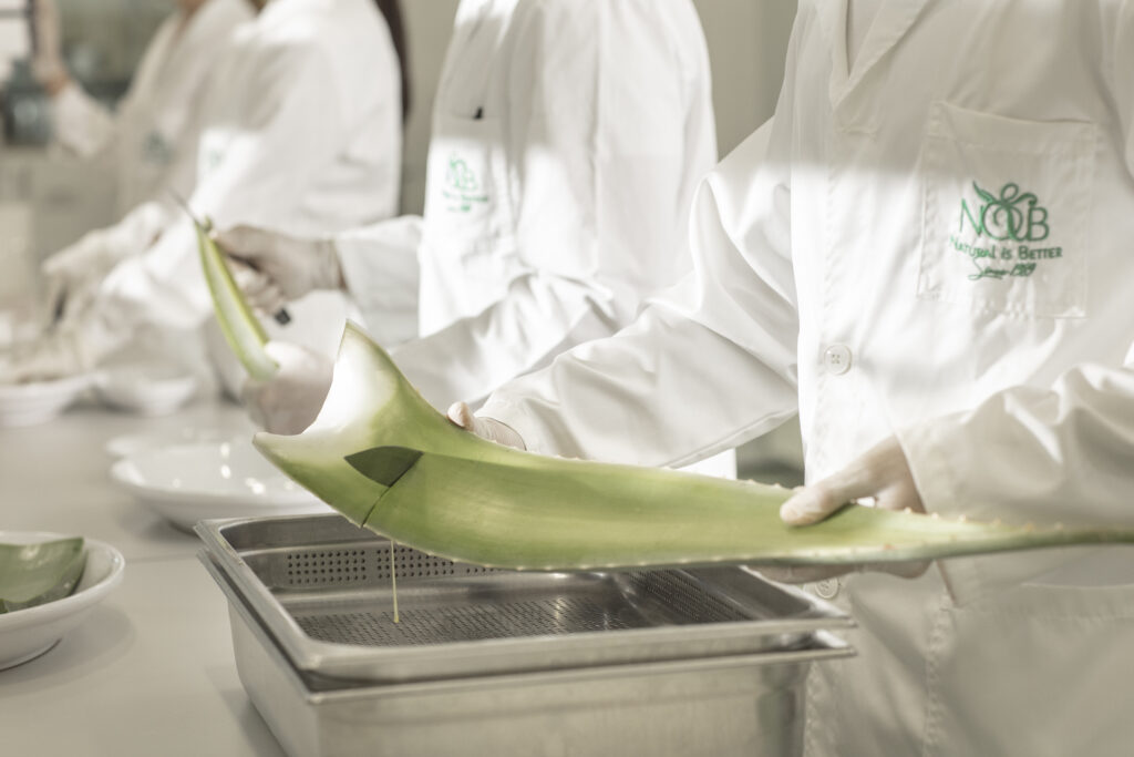 N&B Natural is Better: il modello salentino che rigenera terra e comunit&agrave;