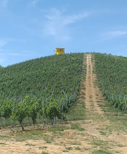 L&rsquo;anima della Borgogna in Piemonte